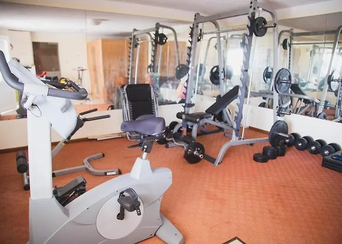 Urban فيلة تروغير